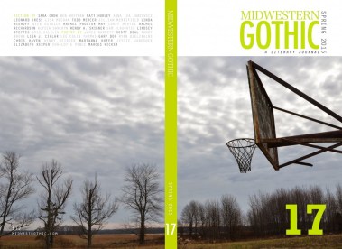 Issue17_Spring2015_cover_full-1024x747